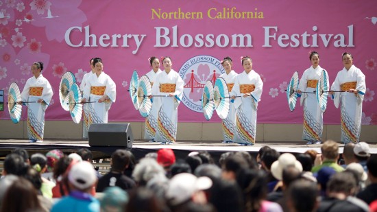 Image result for CHERRY BLOSSOMS 2017 sf