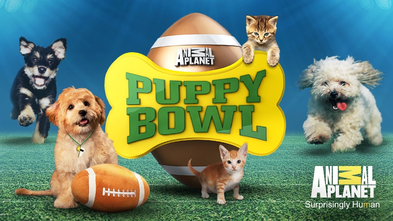 DogFriendly Super Bowl / Puppy Bowl Party & Free Queso Churchill