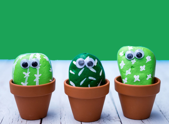Pet Rocks Garden National Public Gardens Week: Free Pet Rock Making | Walnut Creek