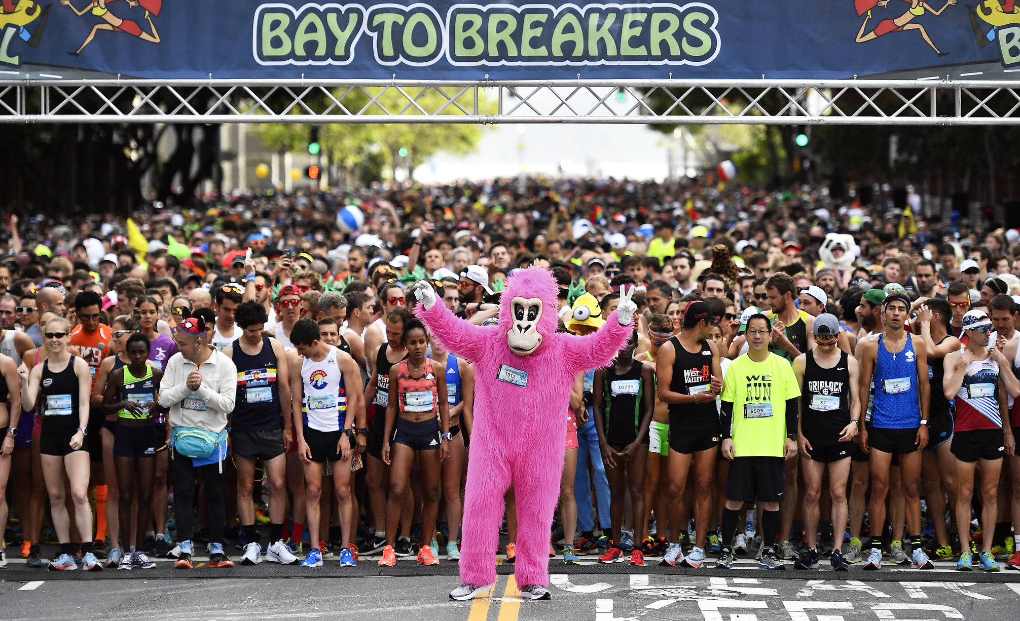 Bay to Breakers 2024 (Everything You Need to Know)