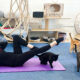 Cat Pilates (Purrlates) with 20+ Adorable Cats (SF's Cat Cafe)
