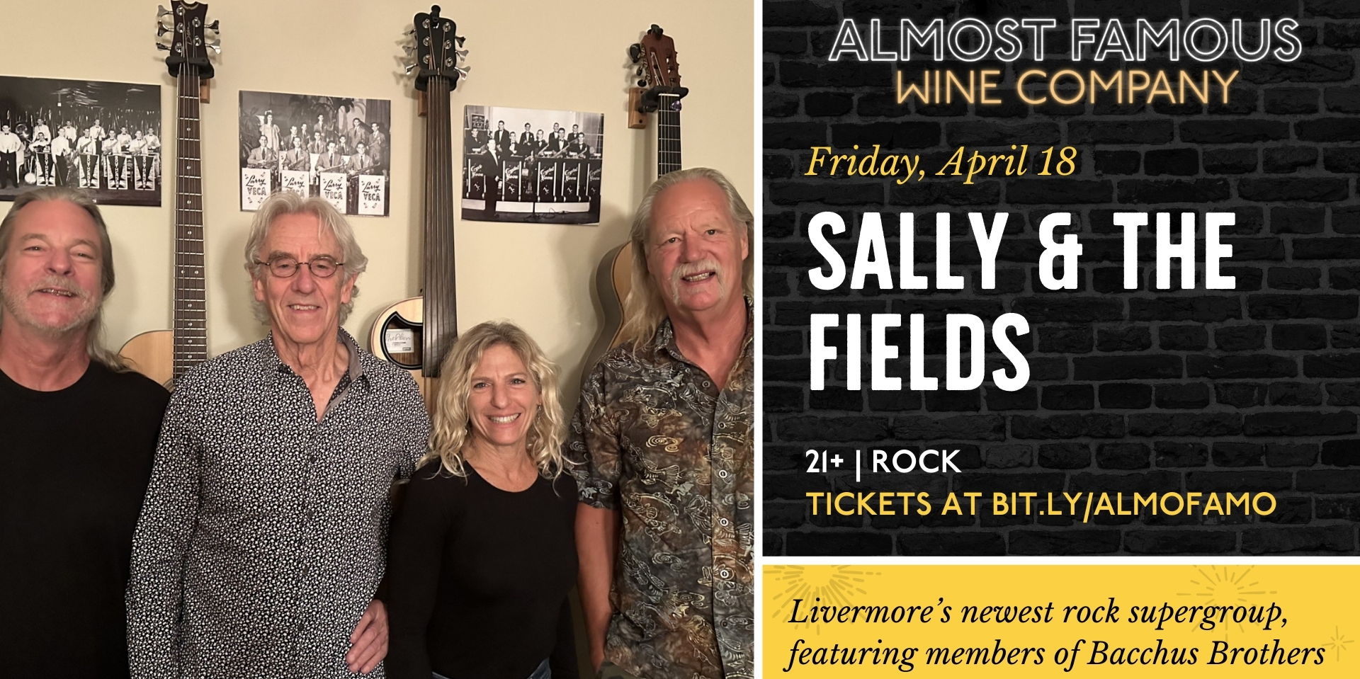 Sally Rocks Sally & The Fields: Rock Supergroup