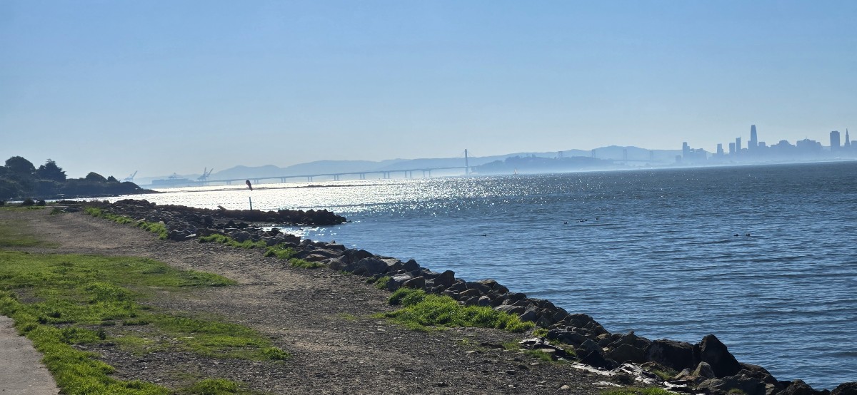 Free Doggie Social Stroll at Point Isabel Shoreline (Richmond)